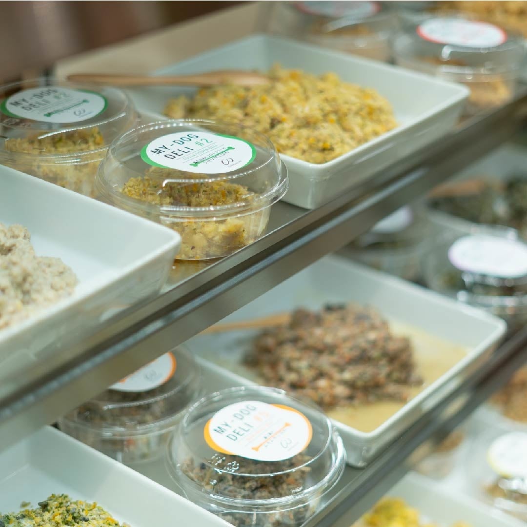 わんちゃんの手作りごはん専門店～WAN-DELI-TOKYO（ワンデリトウキョウ）～よりお魚メインのヘルシーな新メニューが発売！のサブ画像4