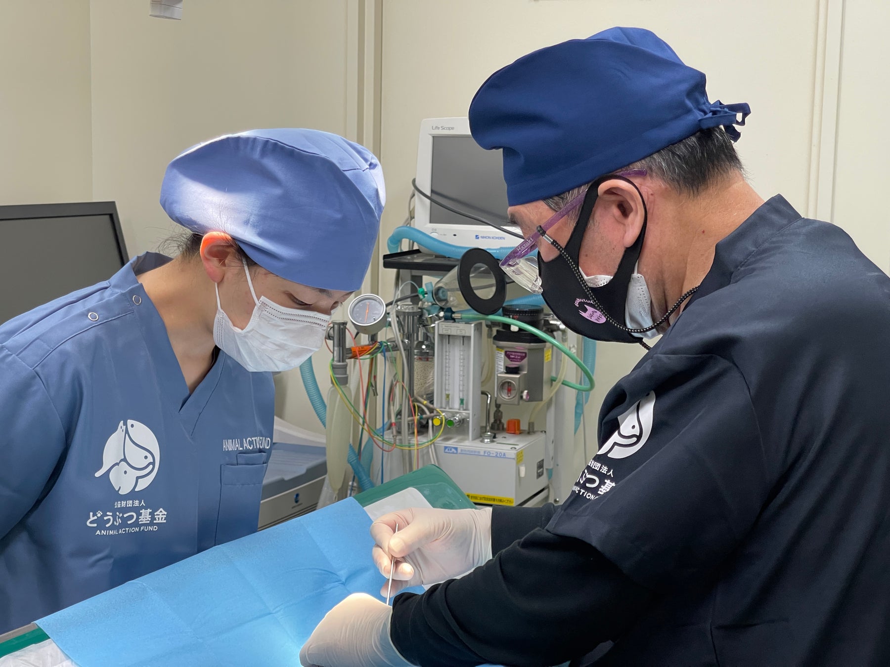 取材依頼　沖縄県愛護センターでノラ猫の不妊手術の再開を、知事に要望書提出　のサブ画像1_熊本市動物愛護センターで行われている無料不妊手術