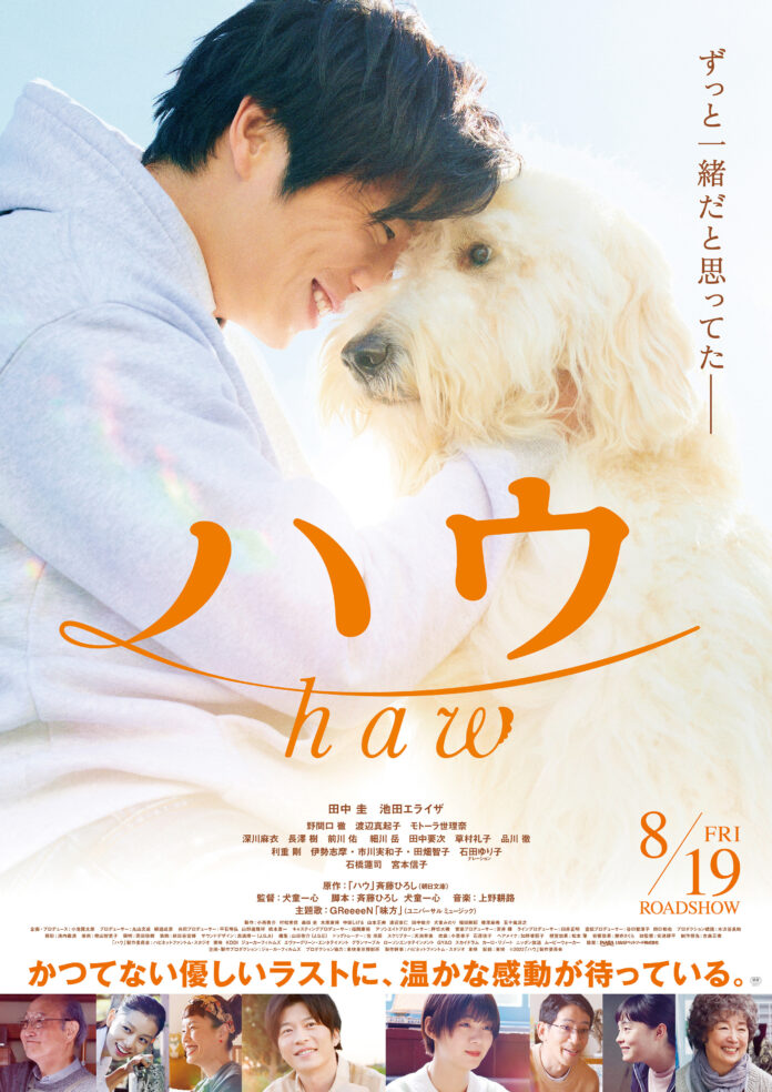 SNSやLINEスタンプで人気の「毛玉犬」が8月19日(金)公開 映画『ハウ』の宣伝“犬”使に就任！のメイン画像