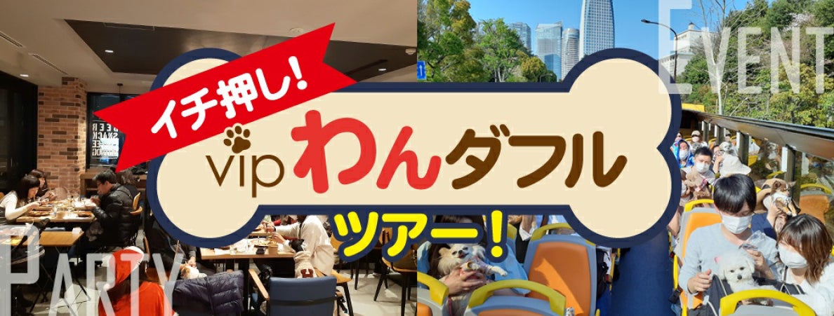 愛犬との旅行はどのように決める？口コミ？サイト？「愛犬との旅行」に関するアンケート調査（2022インターペット）/東京日帰りバスツアー”新ユニット”のお知らせのサブ画像5_イチ押し！vipわんダフルツアー