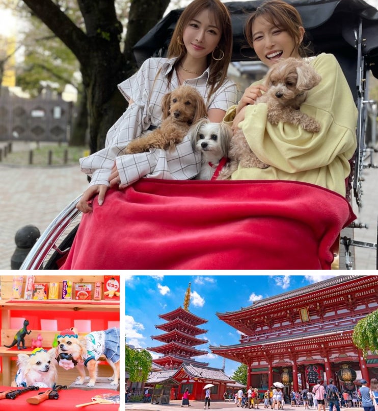 愛犬との旅行はどのように決める？口コミ？サイト？「愛犬との旅行」に関するアンケート調査（2022インターペット）/東京日帰りバスツアー”新ユニット”のお知らせのサブ画像7