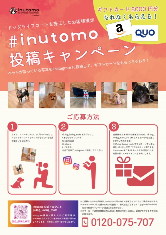 ワンちゃんのために開発されたフロアコーティング『ドッグライフコート』施工後のInstagram投稿でAmazonギフトプレゼントを開催中！のサブ画像1
