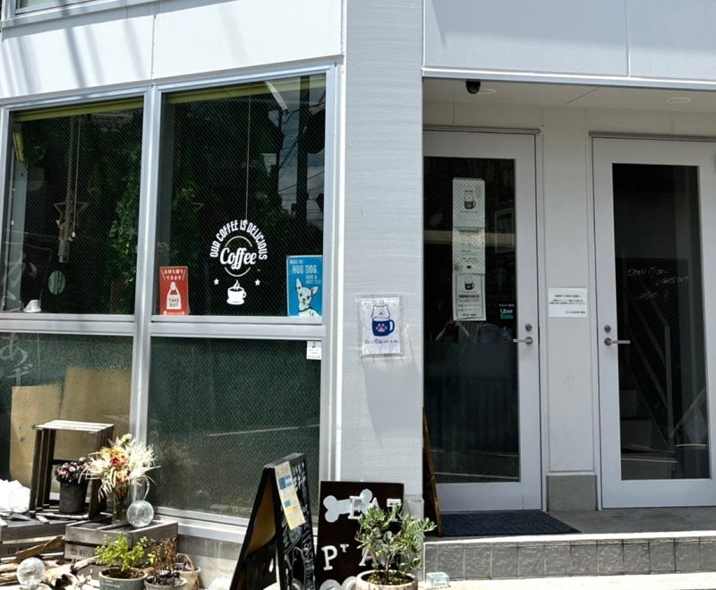 【依頼急増】ワンちゃんのために開発されたフロアコーティング『ドッグライフコート』が店舗などで施工スタート！のサブ画像4