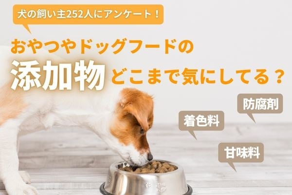 犬のおやつやドッグフードに含まれる添加物を気にする飼い主は63.9％！無添加と記載されているだけで購入する人も【飼い主252人アンケート】  のサブ画像1