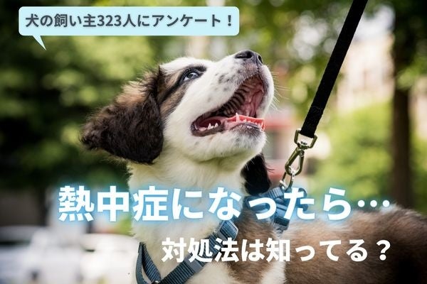 愛犬の熱中症・暑さ対策は大丈夫？暑さ対策をしている飼い主は9割以上だが応急処置を知らない飼い主は〇％も！【飼い主323人アンケート】 のサブ画像1