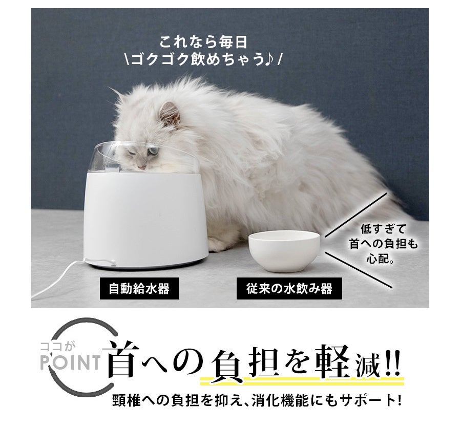 ワンちゃんネコちゃんの健康の為に。『僕らの為の美味しい水』自動給水器UV除菌タイプ誕生！！のサブ画像4