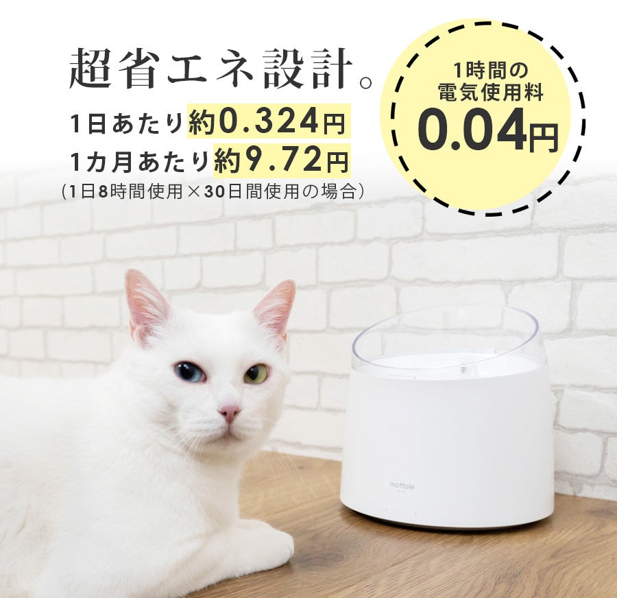 ワンちゃんネコちゃんの健康の為に。『僕らの為の美味しい水』自動給水器UV除菌タイプ誕生！！のサブ画像6