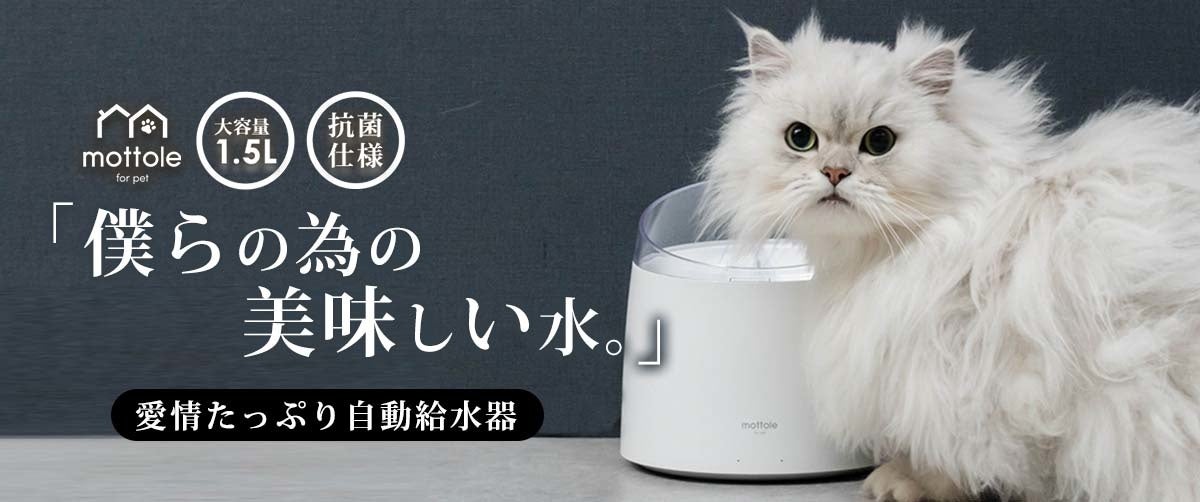 ワンちゃんネコちゃんの健康の為に。『僕らの為の美味しい水』自動給水器誕生！！のサブ画像1