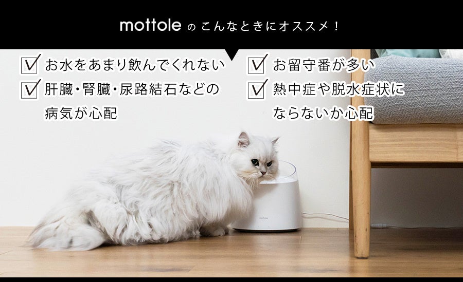 ワンちゃんネコちゃんの健康の為に。『僕らの為の美味しい水』自動給水器誕生！！のサブ画像7