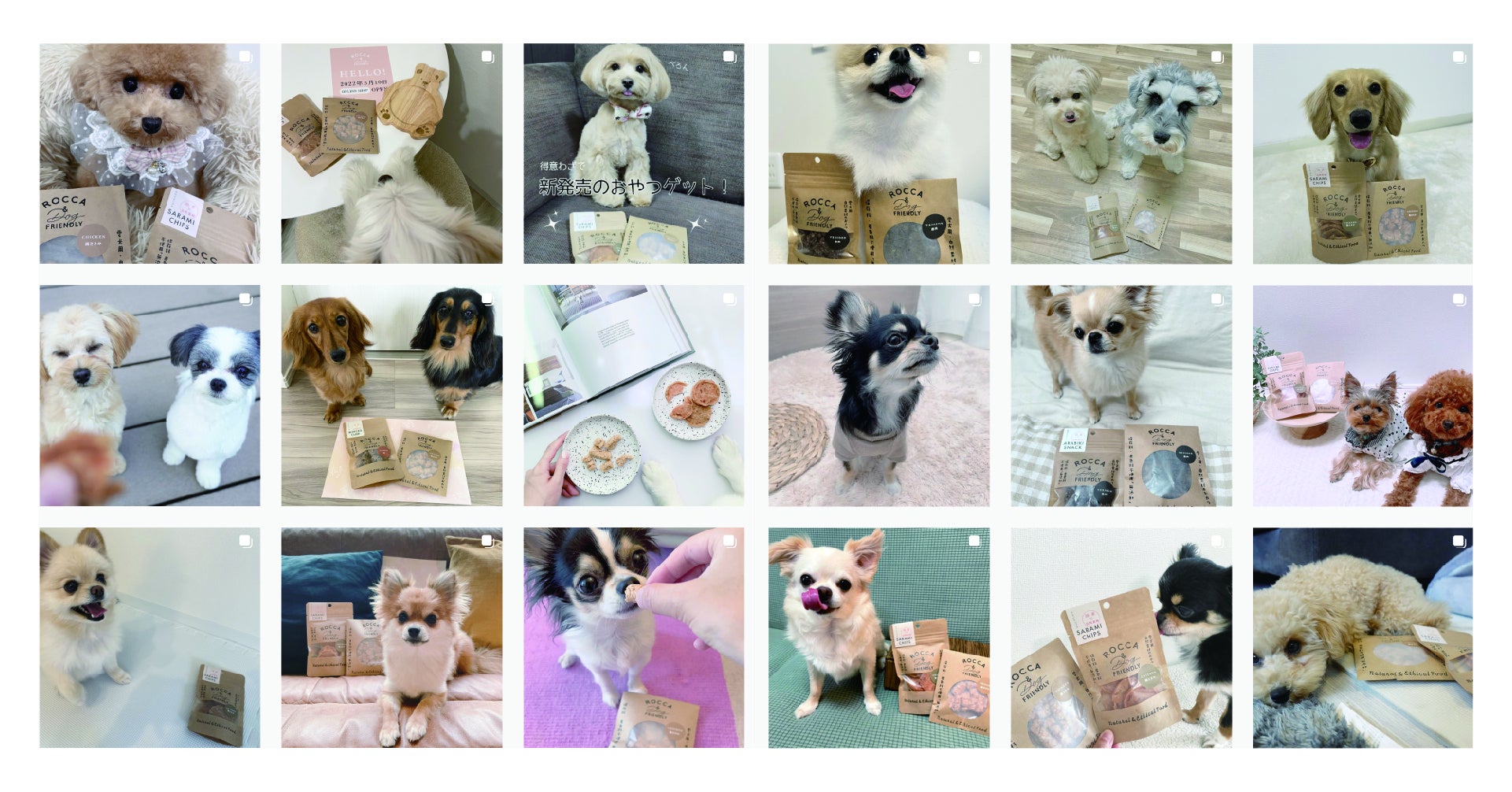 ​​犬の無添加おやつとごはん「ROCCA&Dog FRIENDLY」の販売サイトが2022年6月10日（金）オープン！のサブ画像13