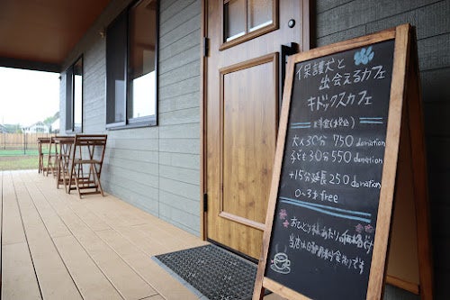 保護犬ケアのスキルを働きながら学ぶ「WANキャリア」、認定NPO法人キドックスが提供開始のサブ画像3