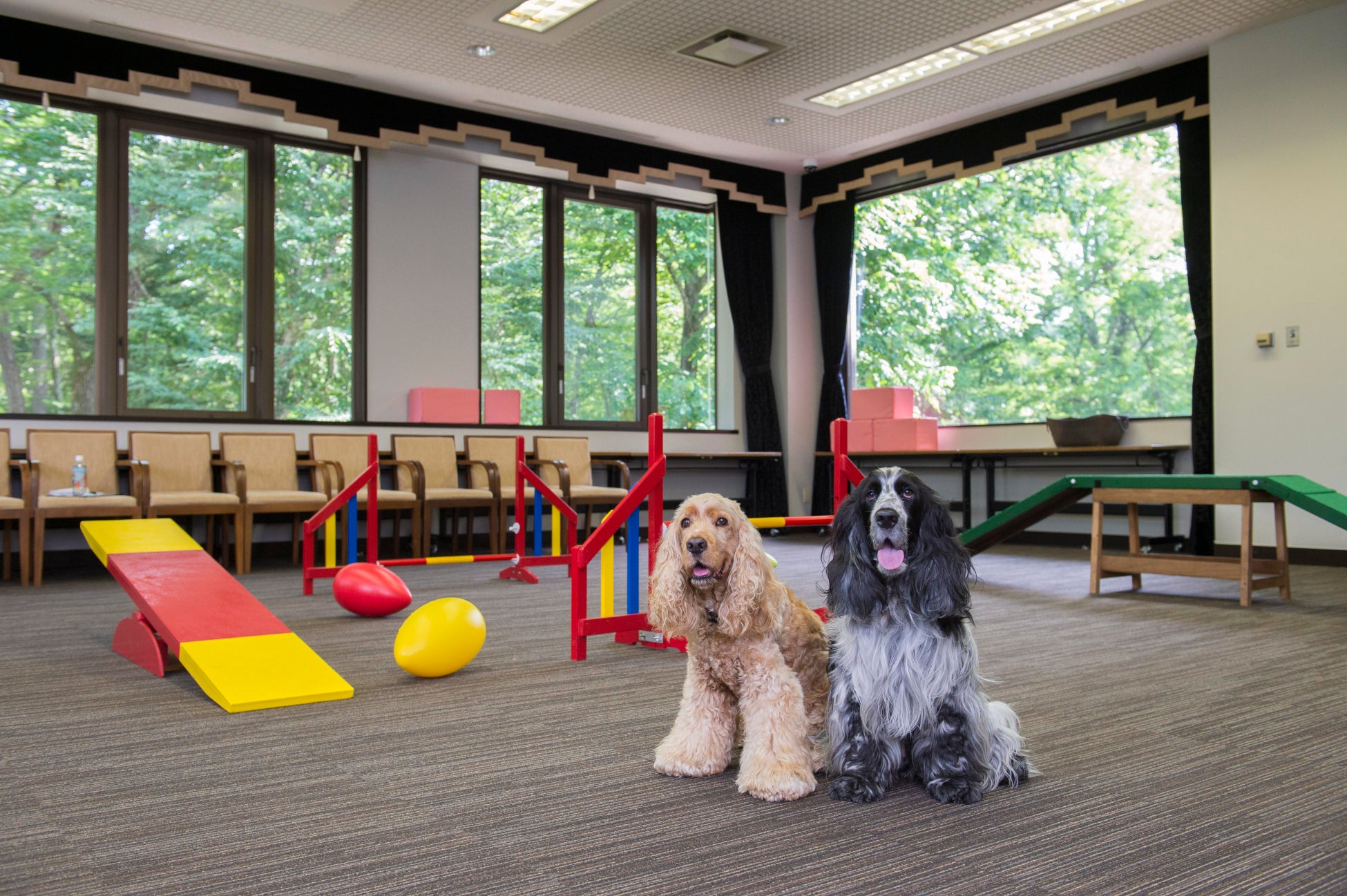 わんわんパラダイスが国内愛犬宿泊ホテル客室数No.1！リゾートエリアに続々と展開のサブ画像2_愛犬施設一例