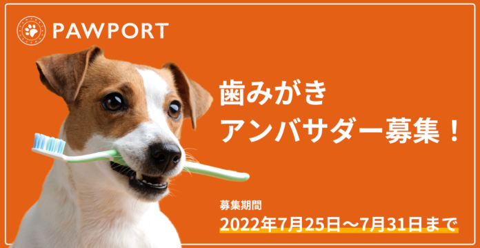 歯周病で歯を失う犬を減らそう！PAWPORT歯磨きアンバサダー募集を開始のメイン画像