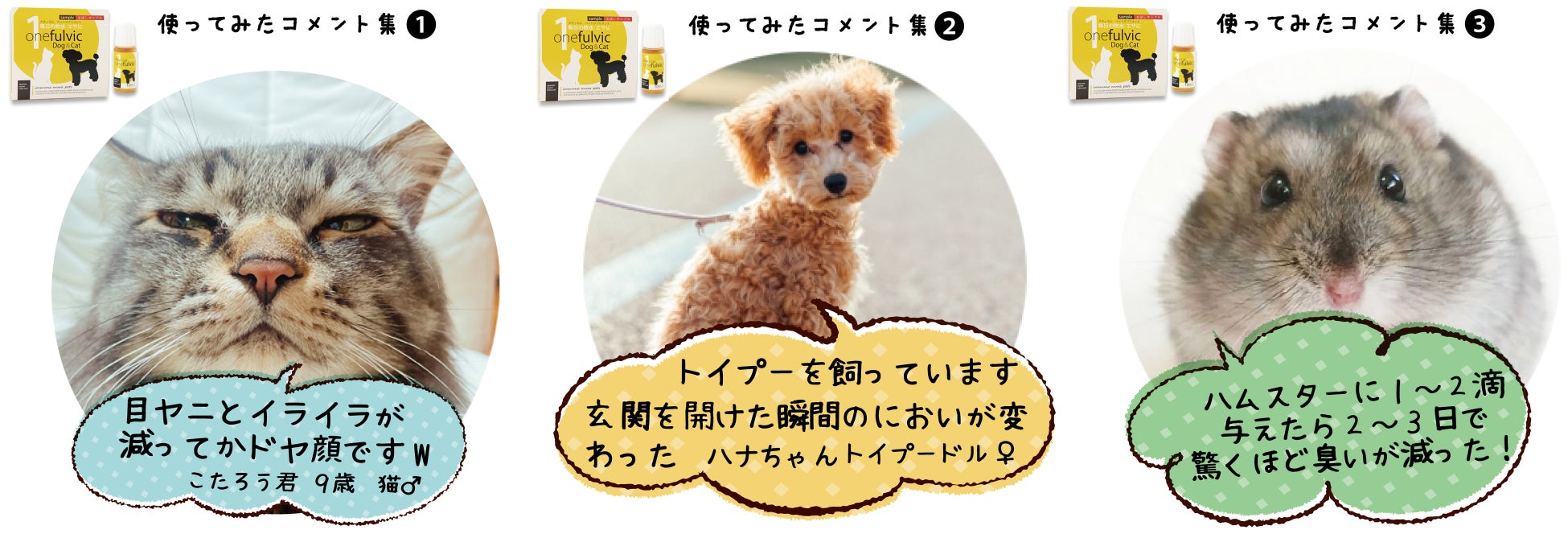 ペットにも腸活！【ワンフルビック】お試し版 好評受付中のサブ画像2