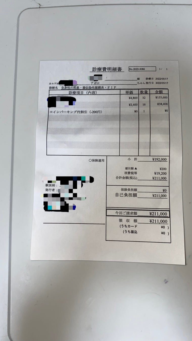 【難病】FIPになってしまったアポロを助けたいです。のサブ画像2