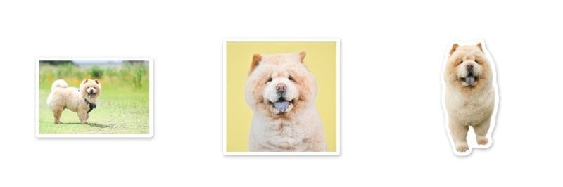 【くり蔵×ヴィレッジヴァンガード】～コラボグッズ発売決定！！～のサブ画像7
