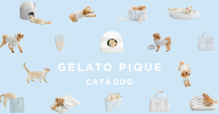 「ジェラート ピケ」より初の犬猫用アイテムが登場！新ライン【GELATO PIQUE CAT&DOG】8月10日(水)にデビュー！のメイン画像