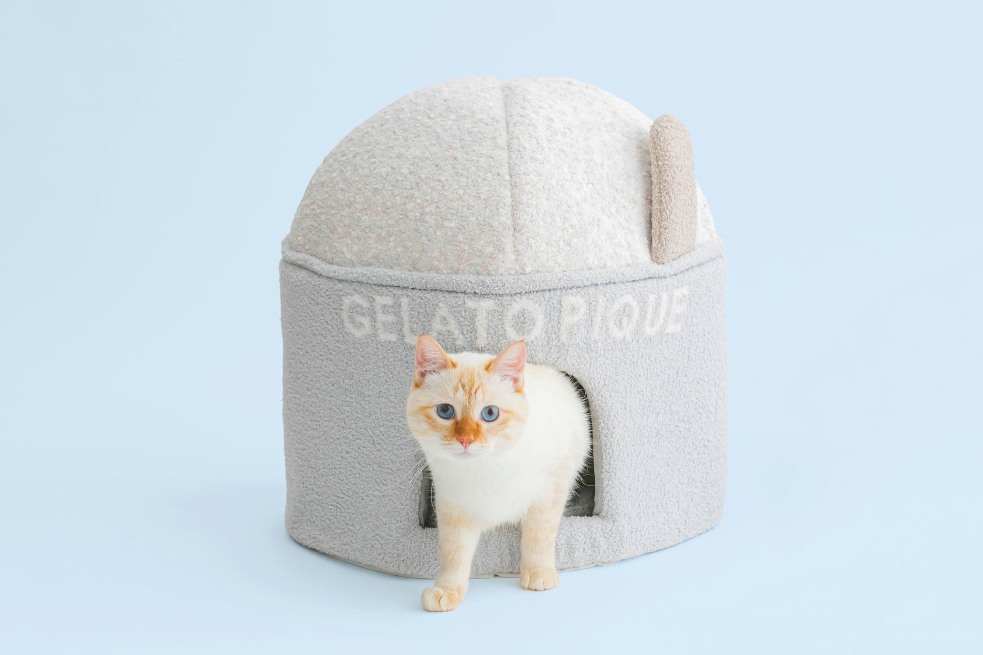 「ジェラート ピケ」より初の犬猫用アイテムが登場！新ライン【GELATO PIQUE CAT&DOG】8月10日(水)にデビュー！のサブ画像4