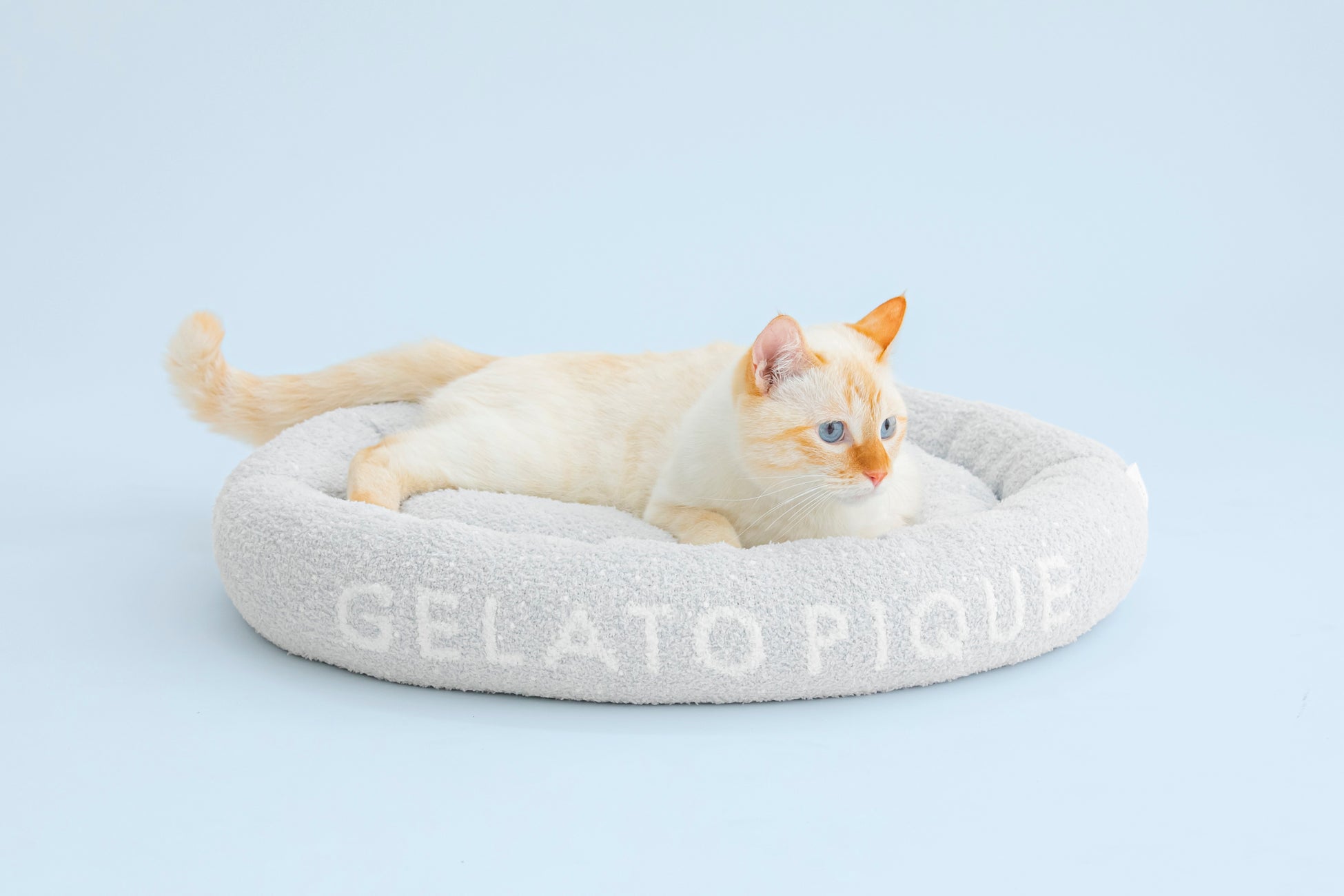 「ジェラート ピケ」より初の犬猫用アイテムが登場！新ライン【GELATO PIQUE CAT&DOG】8月10日(水)にデビュー！のサブ画像5