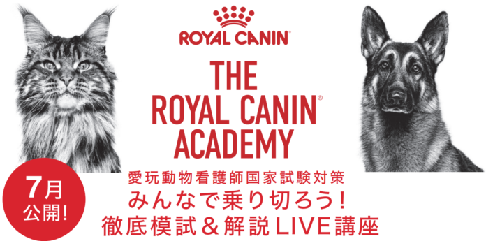 ロイヤルカナン ジャポン、愛玩動物看護師国家試験対策プログラムを提供のメイン画像