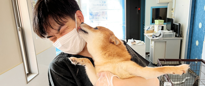 静岡の大雨で被災した犬32頭を救助、飼い主様へお返しのメイン画像