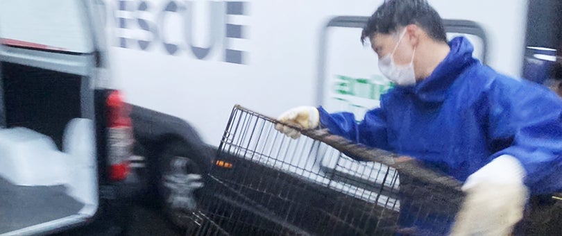 静岡の大雨で被災した犬32頭を救助、飼い主様へお返しのサブ画像2_▲21日深夜まで続いた救助活動