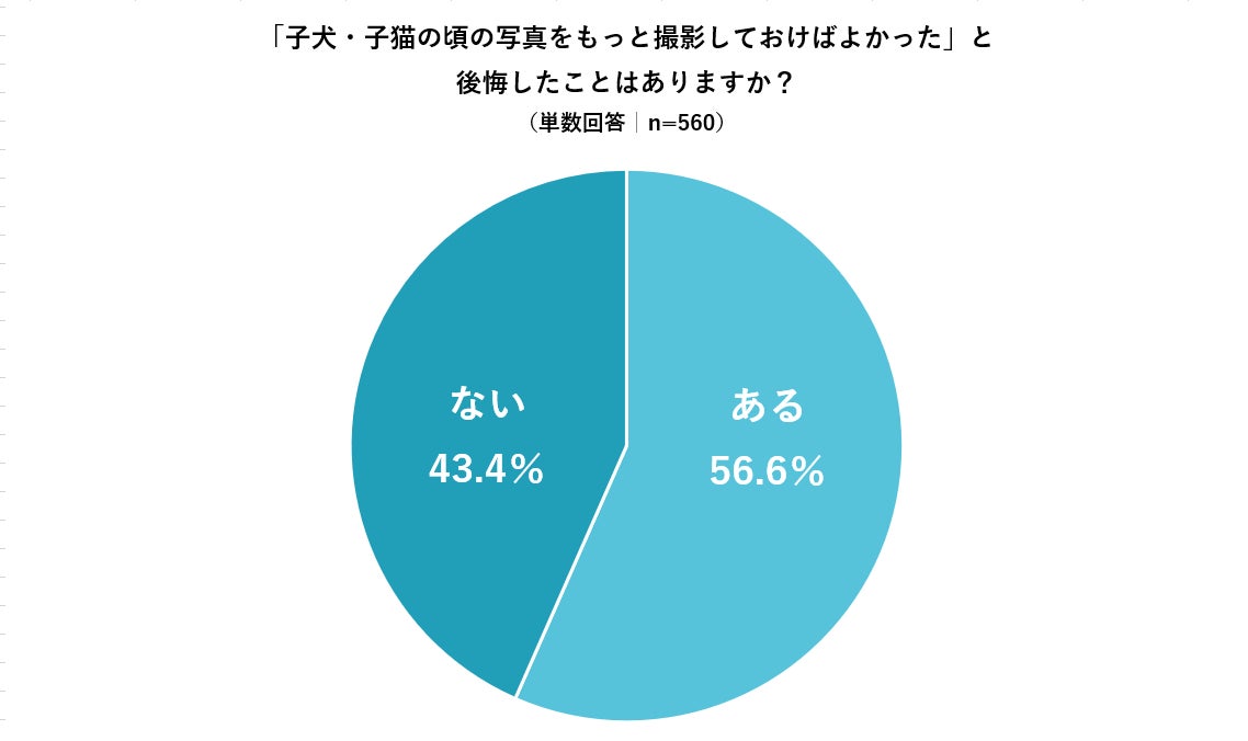【犬・猫を飼っているペットオーナーに調査】76.8%が飼い始めた時からやっておけばよかったと後悔していることがあると回答のサブ画像3