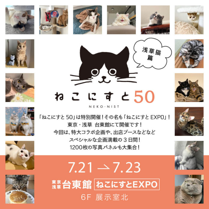 【日本最大級のねこ写真パネル＆グッズ展「ねこにすと５０　ねこにすとEXPO」〜浅草猫篇〜】浅草・台東館にて大型コラボ特別３DAYS開催！のメイン画像