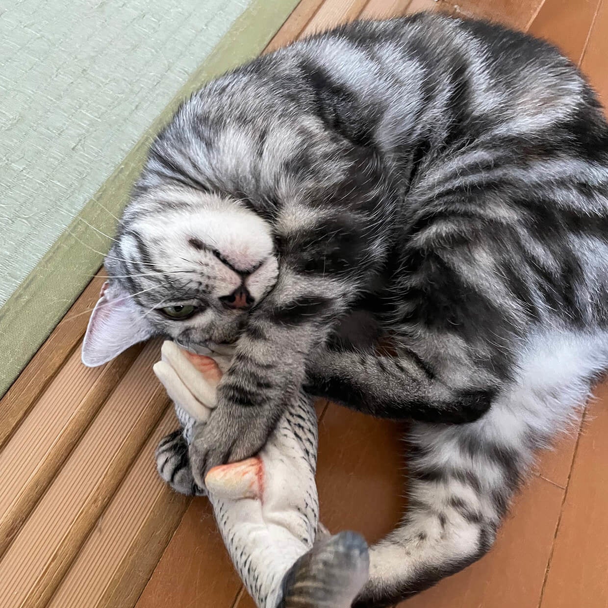 【日本最大級のねこ写真パネル＆グッズ展「ねこにすと５０　ねこにすとEXPO」〜浅草猫篇〜】浅草・台東館にて大型コラボ特別３DAYS開催！のサブ画像16