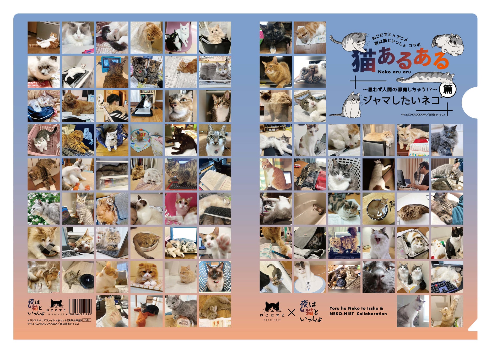 【日本最大級のねこ写真パネル＆グッズ展「ねこにすと５０　ねこにすとEXPO」〜浅草猫篇〜】浅草・台東館にて大型コラボ特別３DAYS開催！のサブ画像3