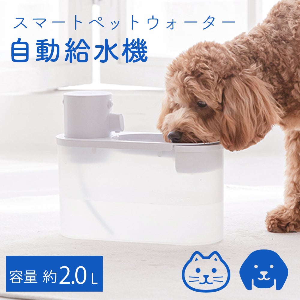 【MAKUAKE 852,360円達成】ワンちゃん・ネコちゃんの健康のカギは”水”！スマートペットウォーターの一般販売開始【ポイントは流水音！】のサブ画像1