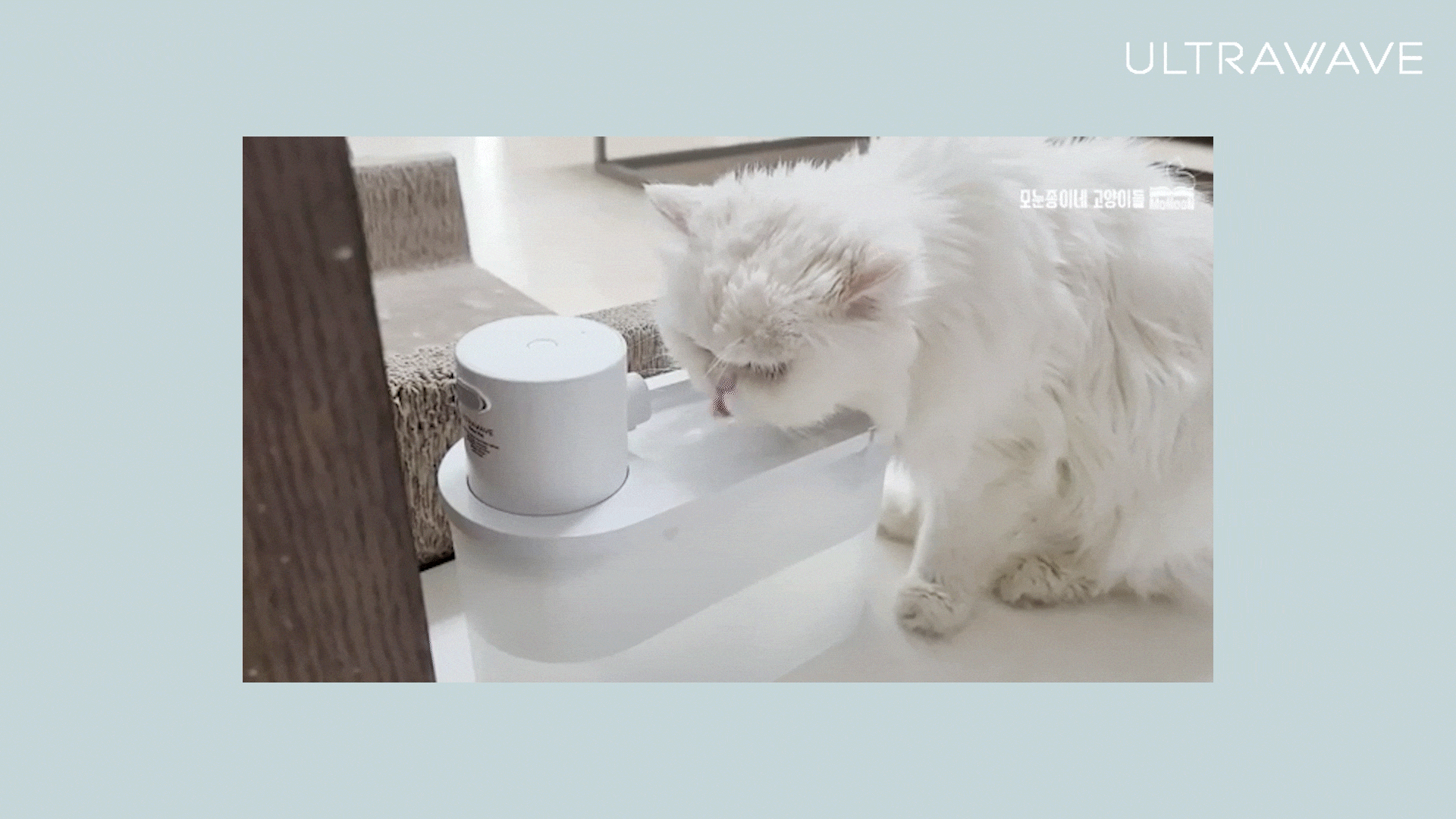 【MAKUAKE 852,360円達成】ワンちゃん・ネコちゃんの健康のカギは”水”！スマートペットウォーターの一般販売開始【ポイントは流水音！】のサブ画像2
