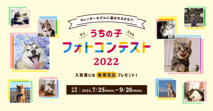 アイペット「うちの子フォトコンテスト2022」投稿キャンペーン開始！のメイン画像