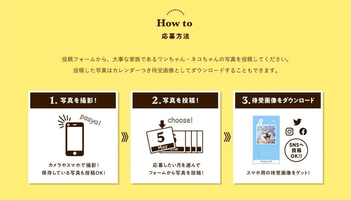 アイペット「うちの子フォトコンテスト2022」投稿キャンペーン開始！のサブ画像2