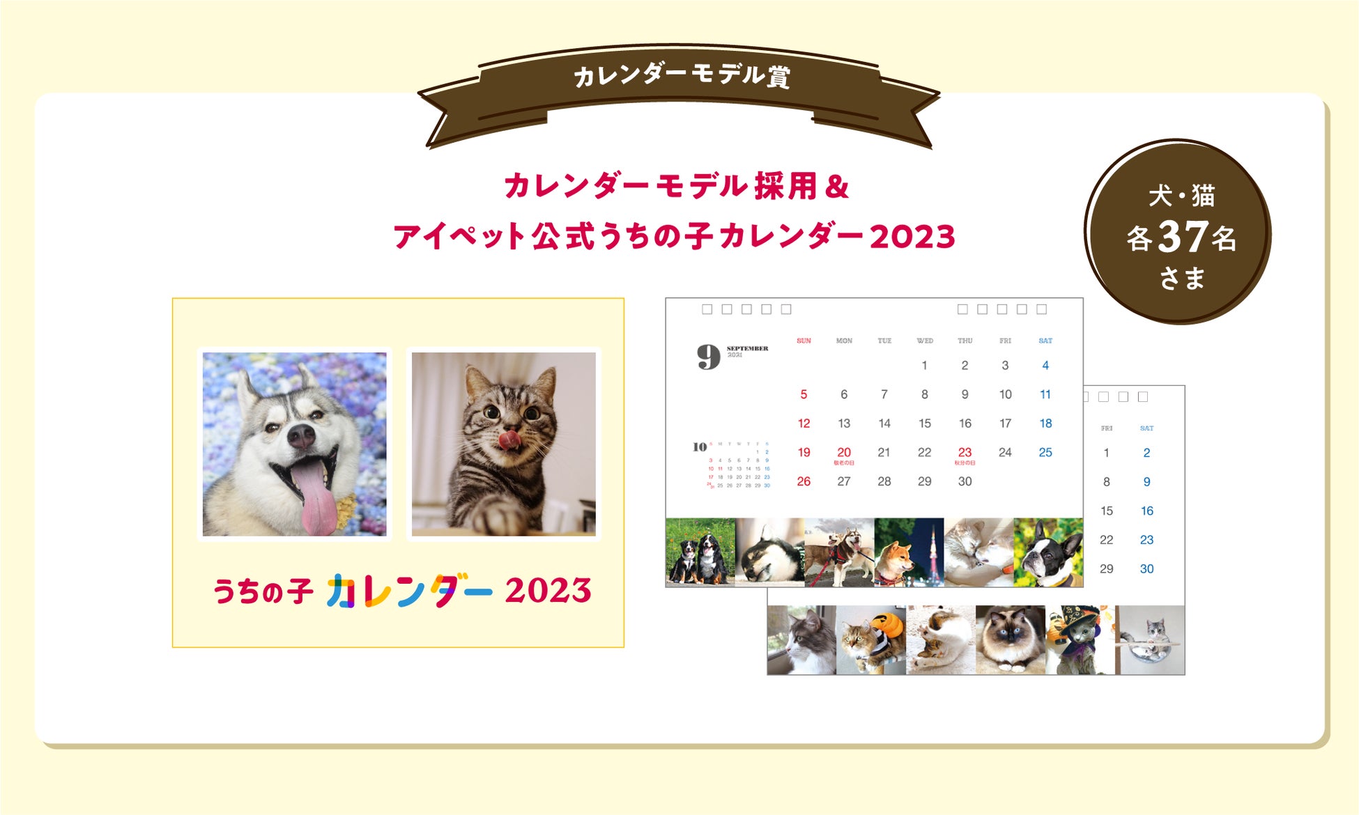 アイペット「うちの子フォトコンテスト2022」投稿キャンペーン開始！のサブ画像3