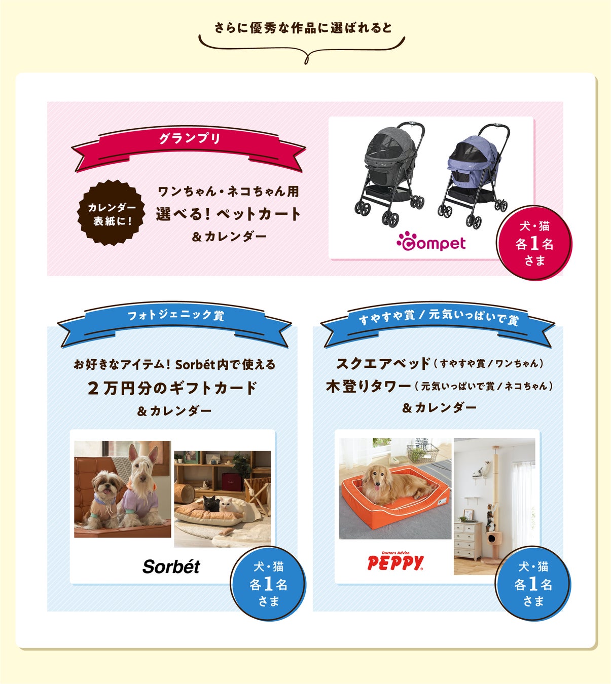 アイペット「うちの子フォトコンテスト2022」投稿キャンペーン開始！のサブ画像4