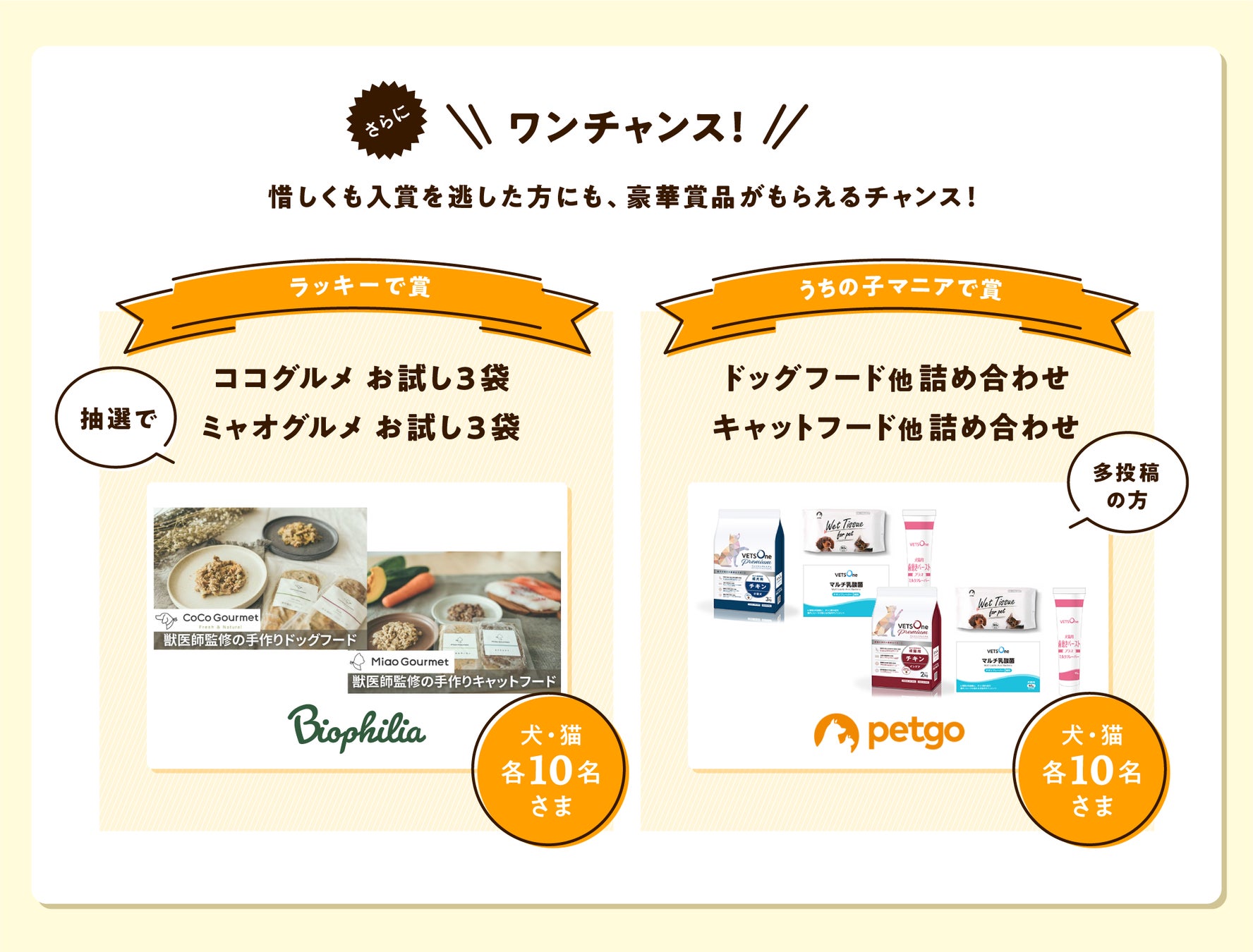 アイペット「うちの子フォトコンテスト2022」投稿キャンペーン開始！のサブ画像5