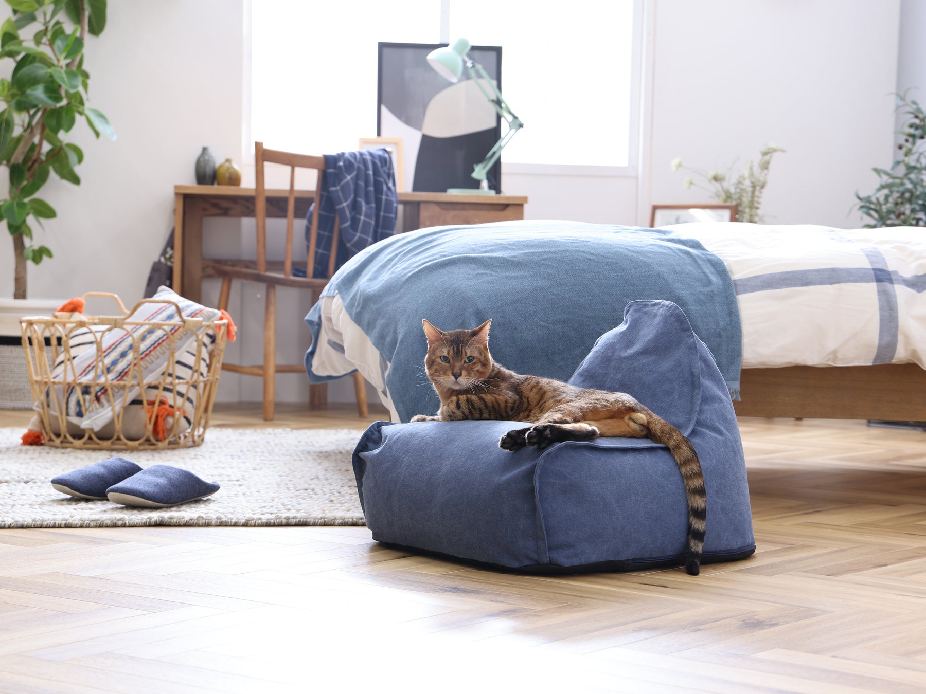 ペットとのおうち時間をまったり過ごしたい！ワンちゃん猫ちゃん用のビーズクッションをナチュラルテイストなインテリアブランド「nora.」で販売スタート。のサブ画像1