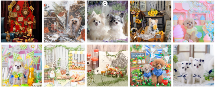 夢のドッグイベント！！愛犬の可愛い写真が撮り放題！ ”豪華”トップクリエイターたちが作り出す14のセルフ撮影フォトブースフェア2022夏 2022年8月1日よりイチホテル浅草橋にて開催のメイン画像