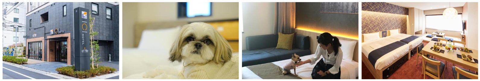 夢のドッグイベント！！愛犬の可愛い写真が撮り放題！  ”豪華”トップクリエイターたちが作り出す14のセルフ撮影フォトブースフェア2022夏  2022年8月1日よりイチホテル浅草橋にて開催のサブ画像5_東京で最大級のドックフレンドリーホテルチェーン