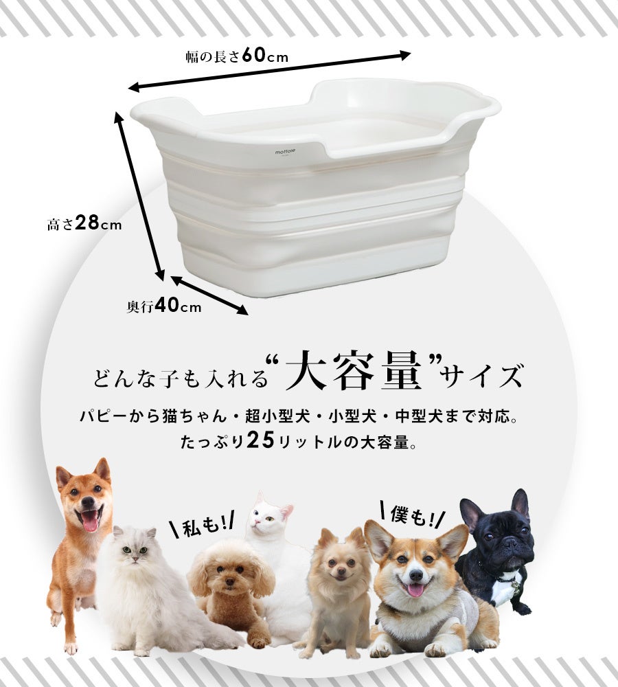 ワンちゃんネコちゃん専用！『僕らの為のペットバス！』折りたたみ式ペットバスタブが新登場！！のサブ画像2