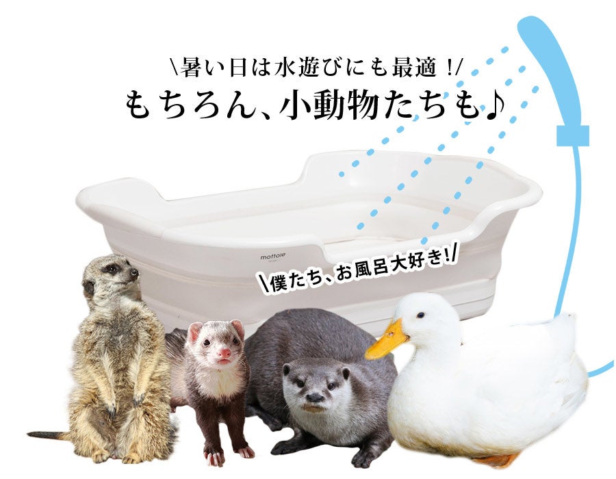 ワンちゃんネコちゃん専用！『僕らの為のペットバス！』折りたたみ式ペットバスタブが新登場！！のサブ画像5