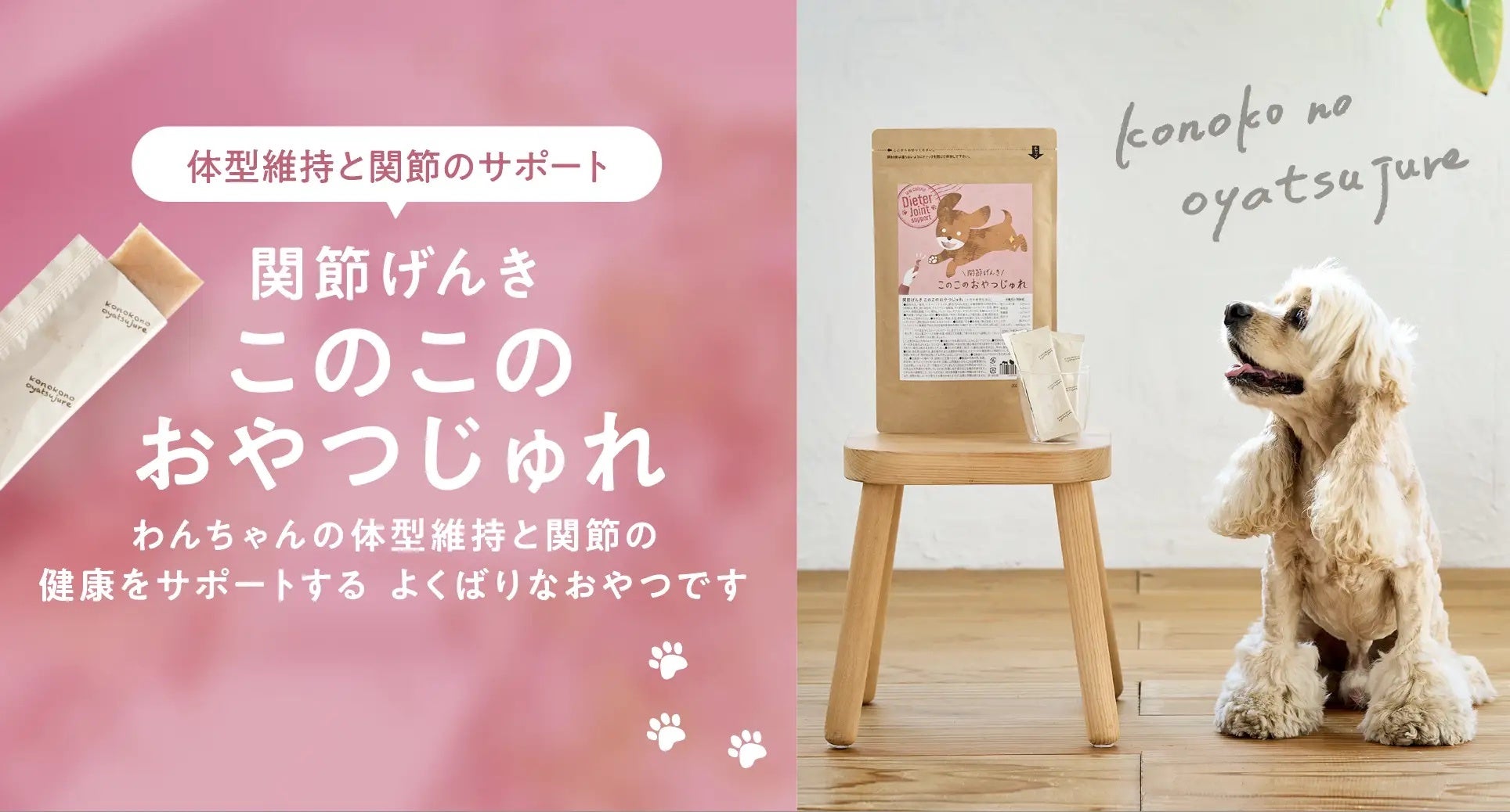【日本のわんちゃんの肥満割合】肥満になってしまう原因は？のサブ画像8