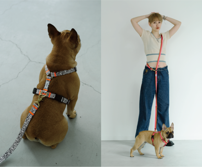 愛犬とオシャレをして出かけたくなる、カラフルかつスタイリッシュなアイテムで人気のペットブランド、ciiron TOKYO＜シーロン トウキョウ＞の期間限定ストアがバーニーズ　ニューヨークに初登場。のメイン画像