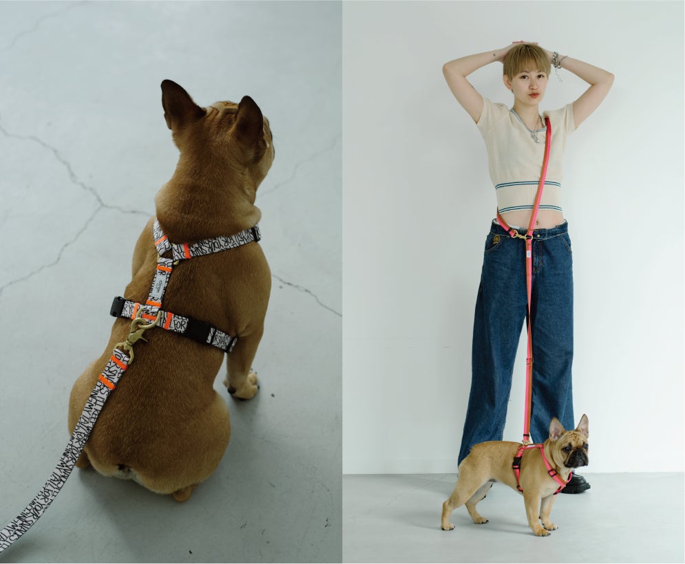 愛犬とオシャレをして出かけたくなる、カラフルかつスタイリッシュなアイテムで人気のペットブランド、ciiron TOKYO＜シーロン トウキョウ＞の期間限定ストアがバーニーズ　ニューヨークに初登場。のサブ画像1