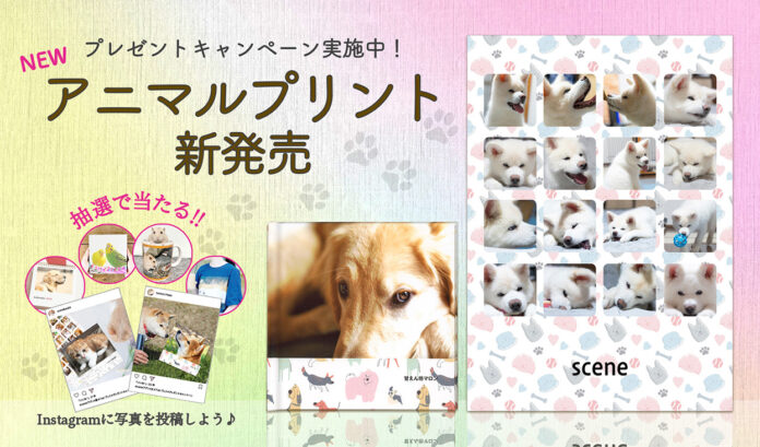 フォトグッズのプレゼントキャンペーンを開催！写真でペットライフをもっと楽しく。のメイン画像