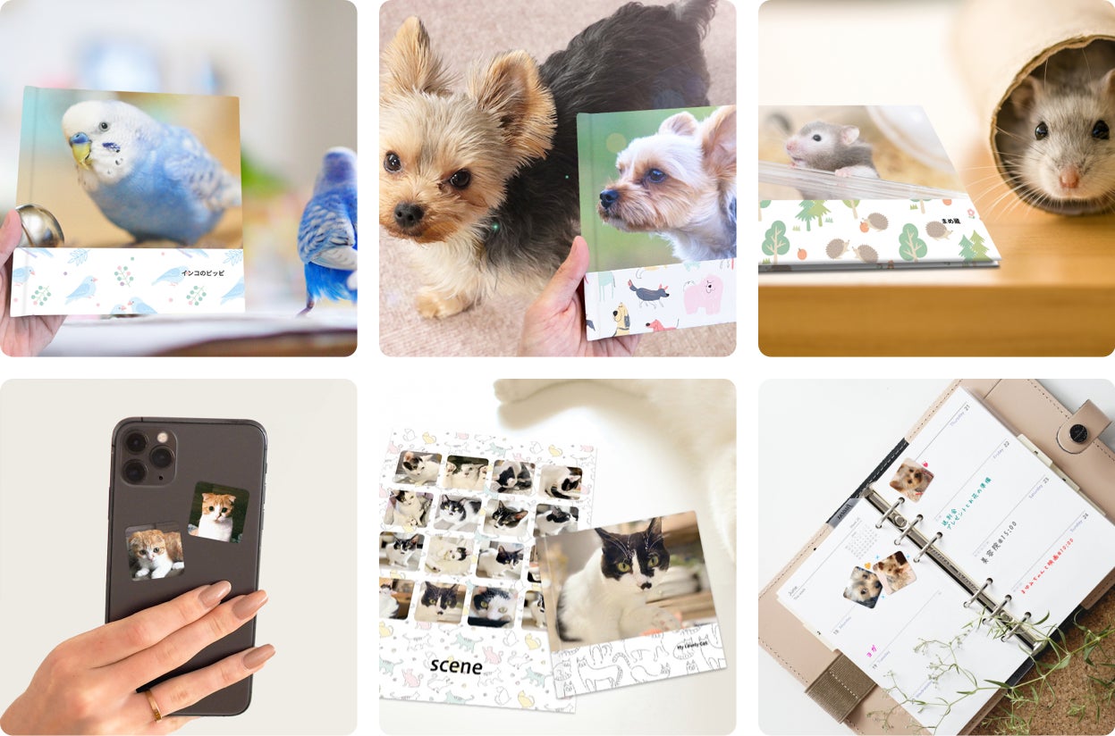 フォトグッズのプレゼントキャンペーンを開催！写真でペットライフをもっと楽しく。のサブ画像4