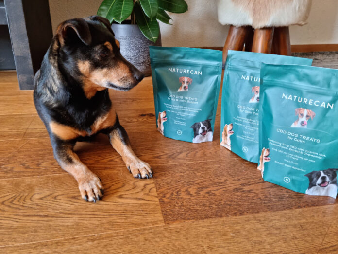 獣医師監修！CBDオイル入り「犬用CBDおやつサプリ」が新発売★お悩み別のおやつで愛犬の健康をケアしよう！のメイン画像