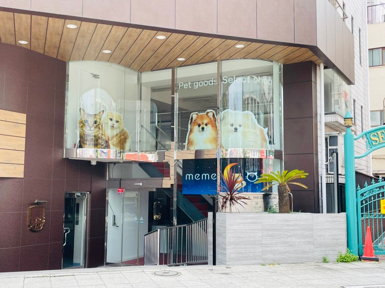 獣医師監修の歯磨きジェル【ワンオーラ】　ペット用品のセレクトショップ「memeco」にて販売開始のサブ画像1