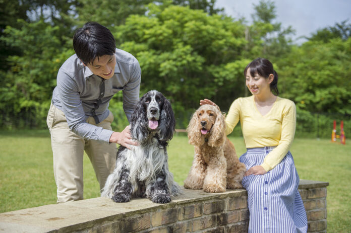 「セラヴィリゾート泉郷」のホテルが「ステイウィズドッグアワード2022」において13年連続で受賞しました！のメイン画像
